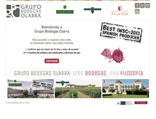 Tablet Screenshot of grupobodegasolarra.com